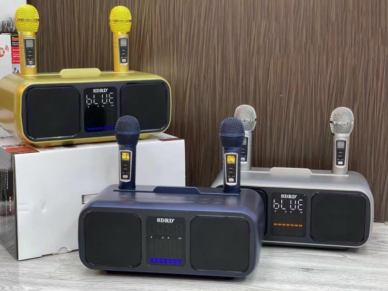 Loa bluetooth karaoke SDRD SD-318 kèm 2 micro không dây