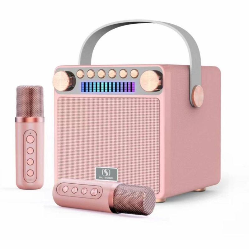 Loa karaoke mini YS-601 kèm 2 micro không dây