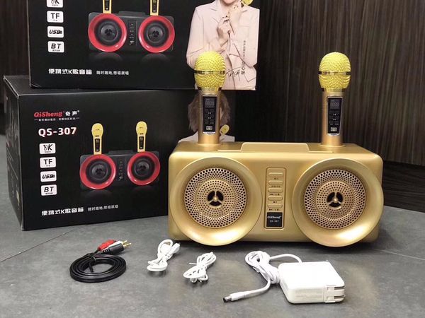 Loa karaoke QiSheng QS-307 kèm 2 micro không dây