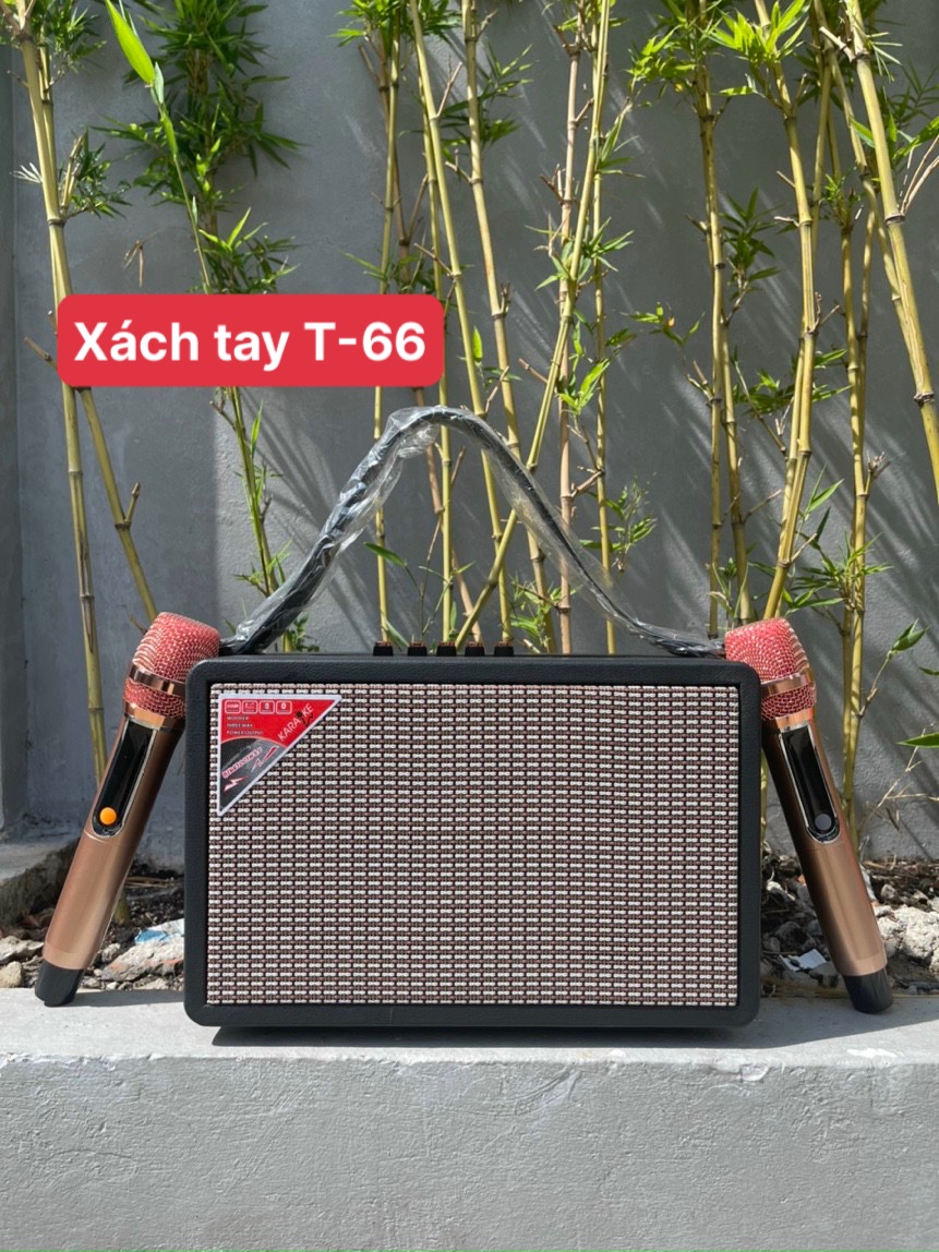 Loa xách tay T-66 karaoke kèm 2 micro không dây