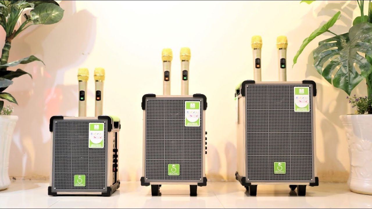 Loa karaoke SOK 338 - loa 2.5 tấc - kèm 2 micro không dây