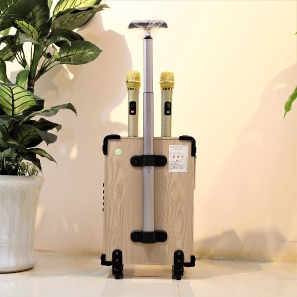 Loa karaoke SOK 338 - loa 2.5 tấc - kèm 2 micro không dây