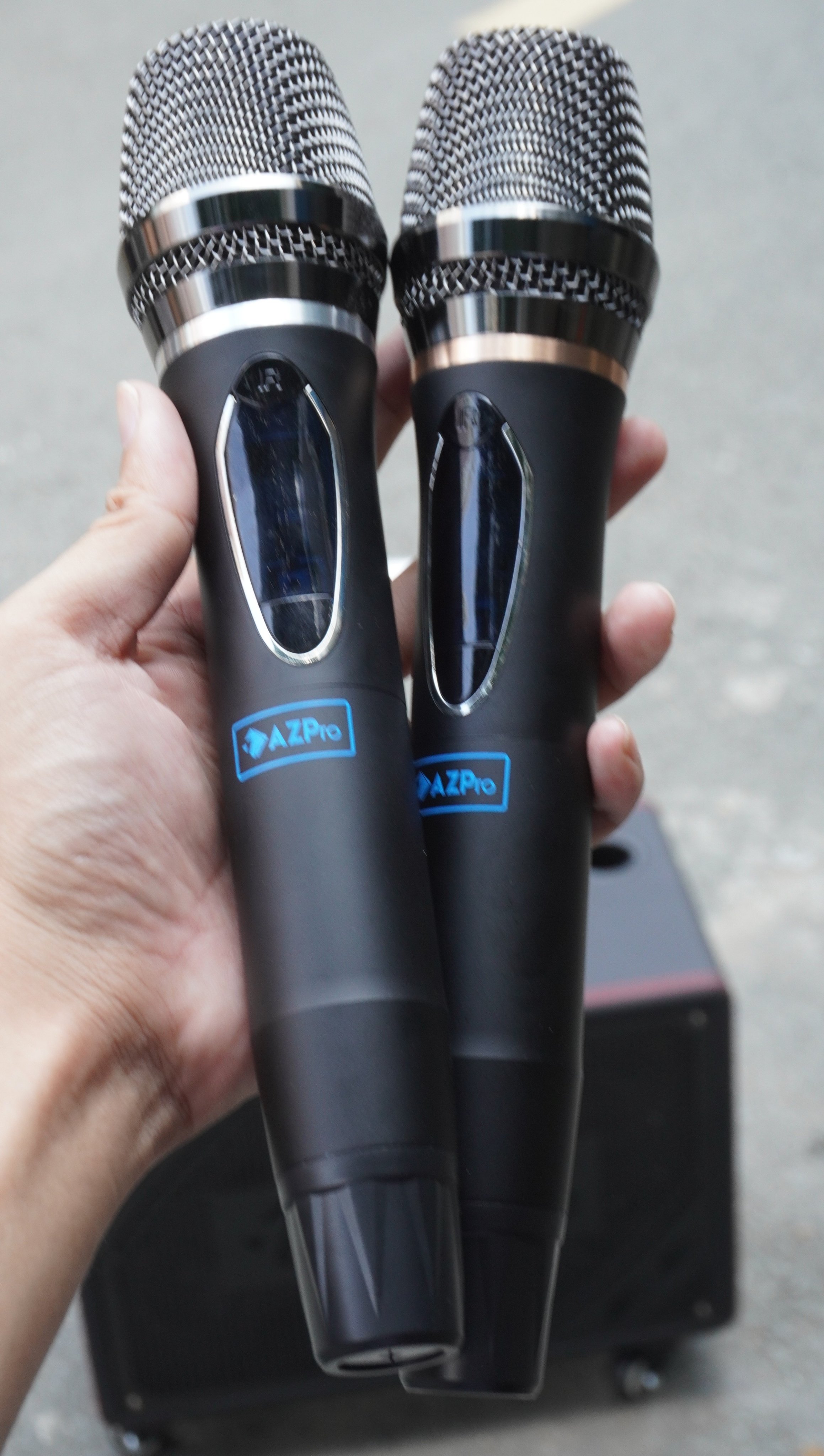 Loa karaoke AZPro AZ-316 kèm 2 micro không dây