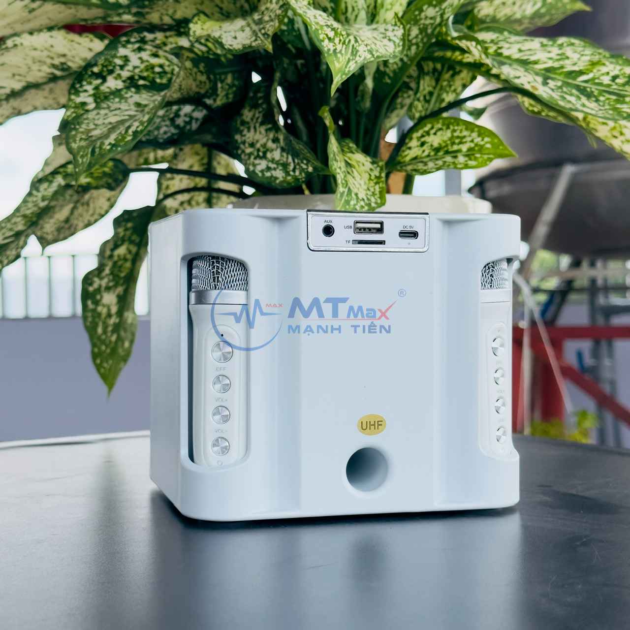 Loa karaoke mini YS235 - kèm 2 micro không dây