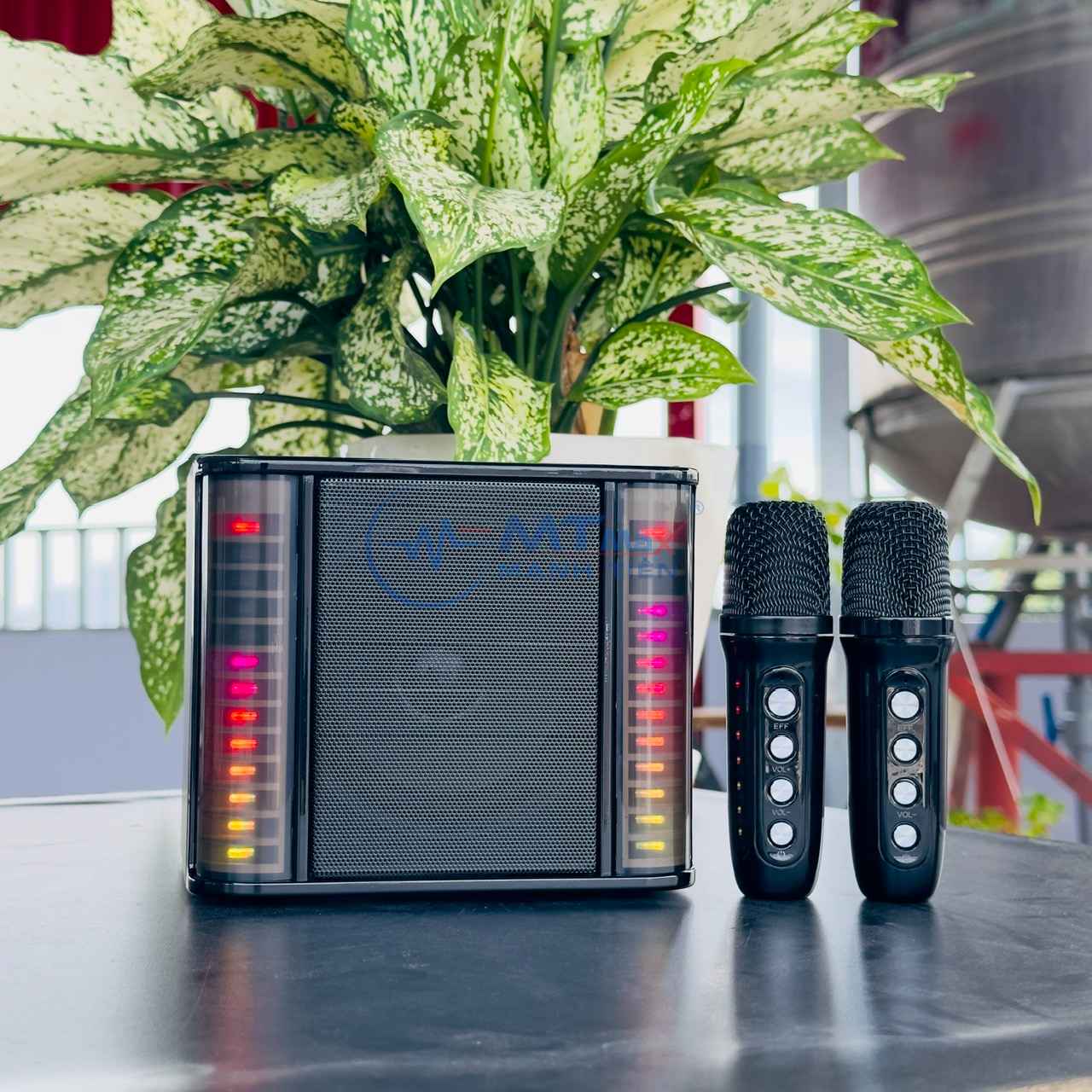 Loa karaoke mini YS235 - kèm 2 micro không dây