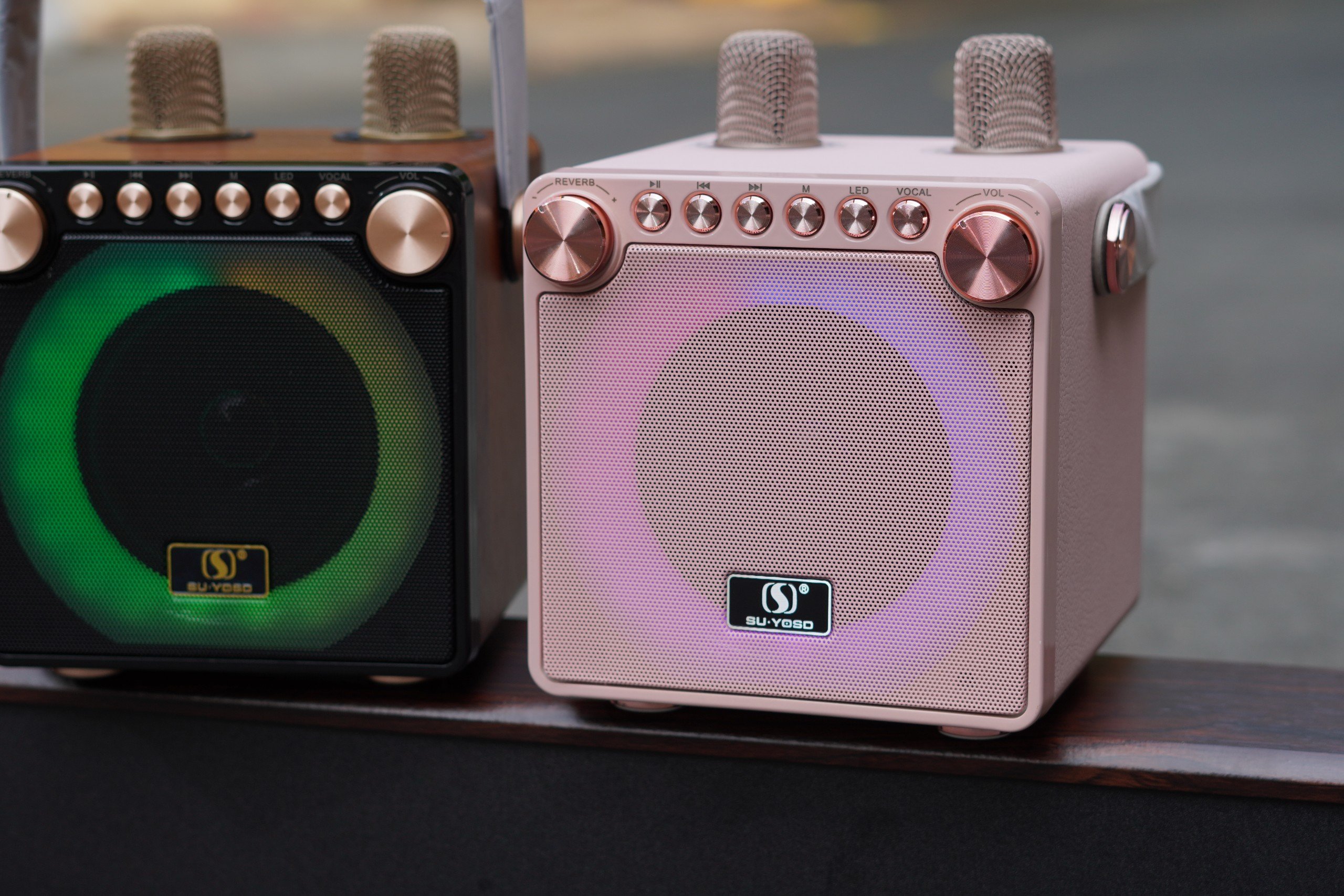 Loa karaoke mini YS-602 kèm 2 micro