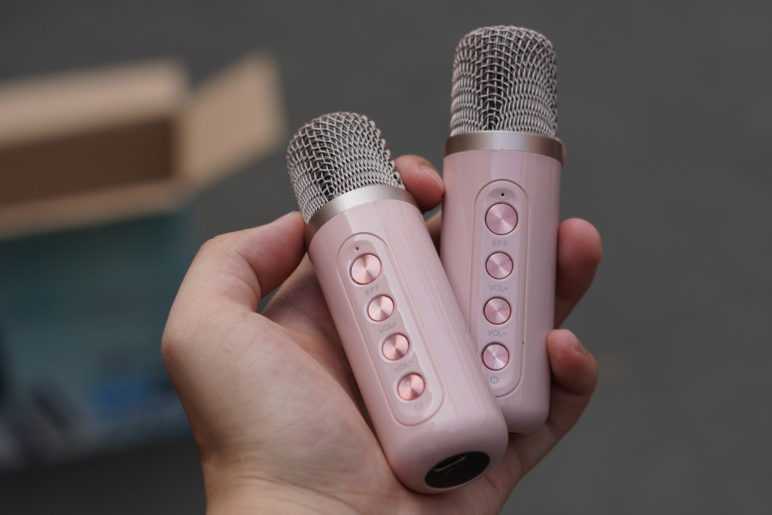 Loa karaoke mini YS-602 kèm 2 micro